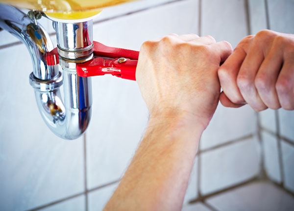 About Muscadine Plumbers
